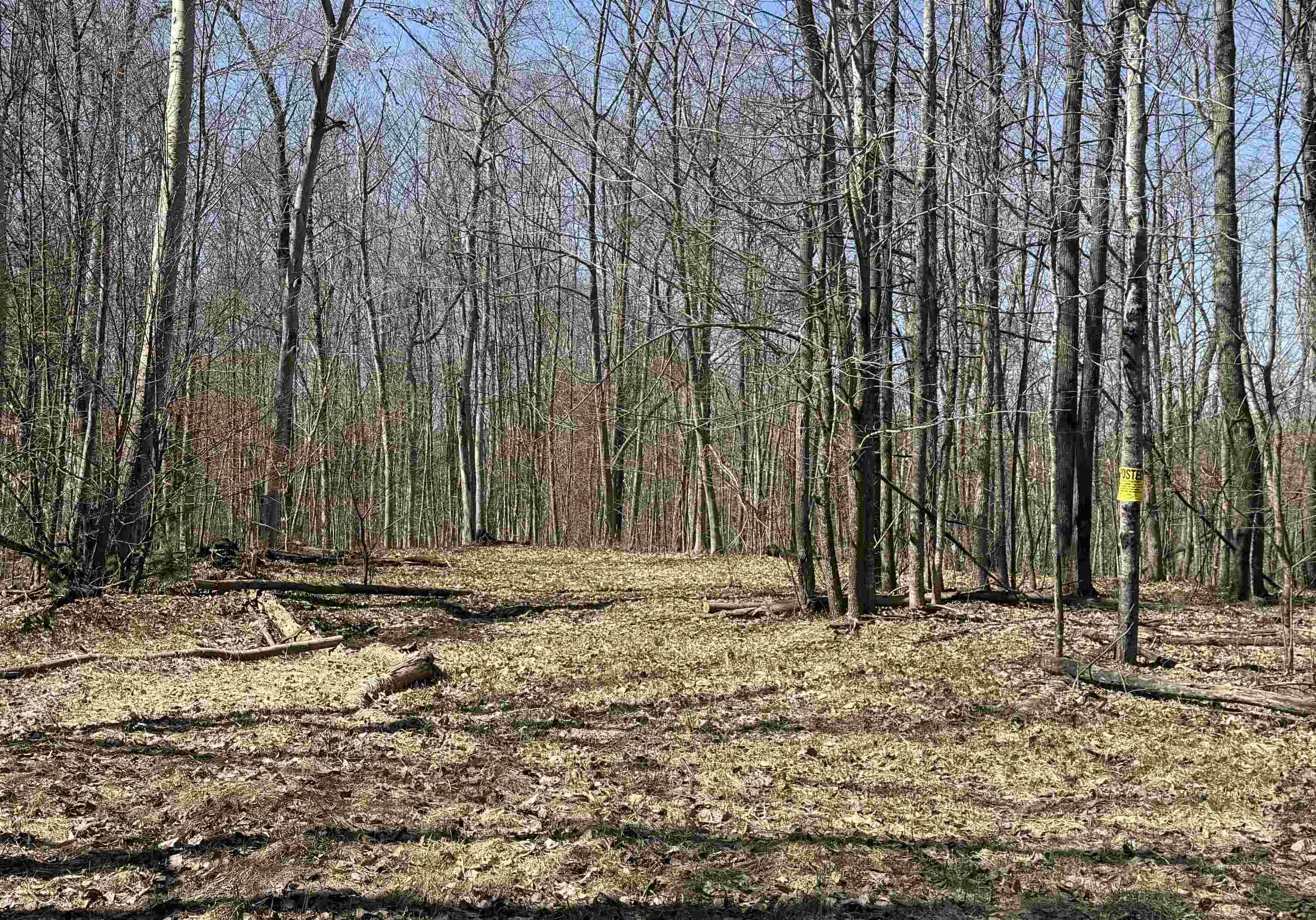 Parcel C Honey Hollow RD, Forest Home Twp, MI 49615