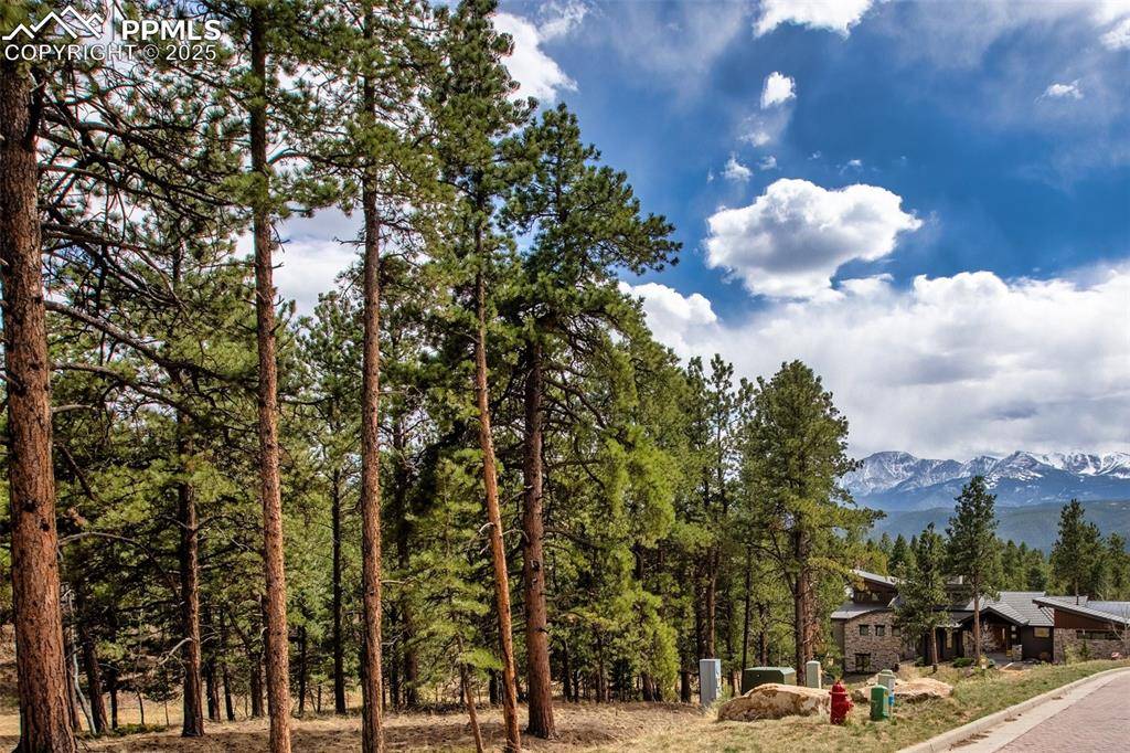 271 Thunder Ridge DR, Woodland Park, CO 80863