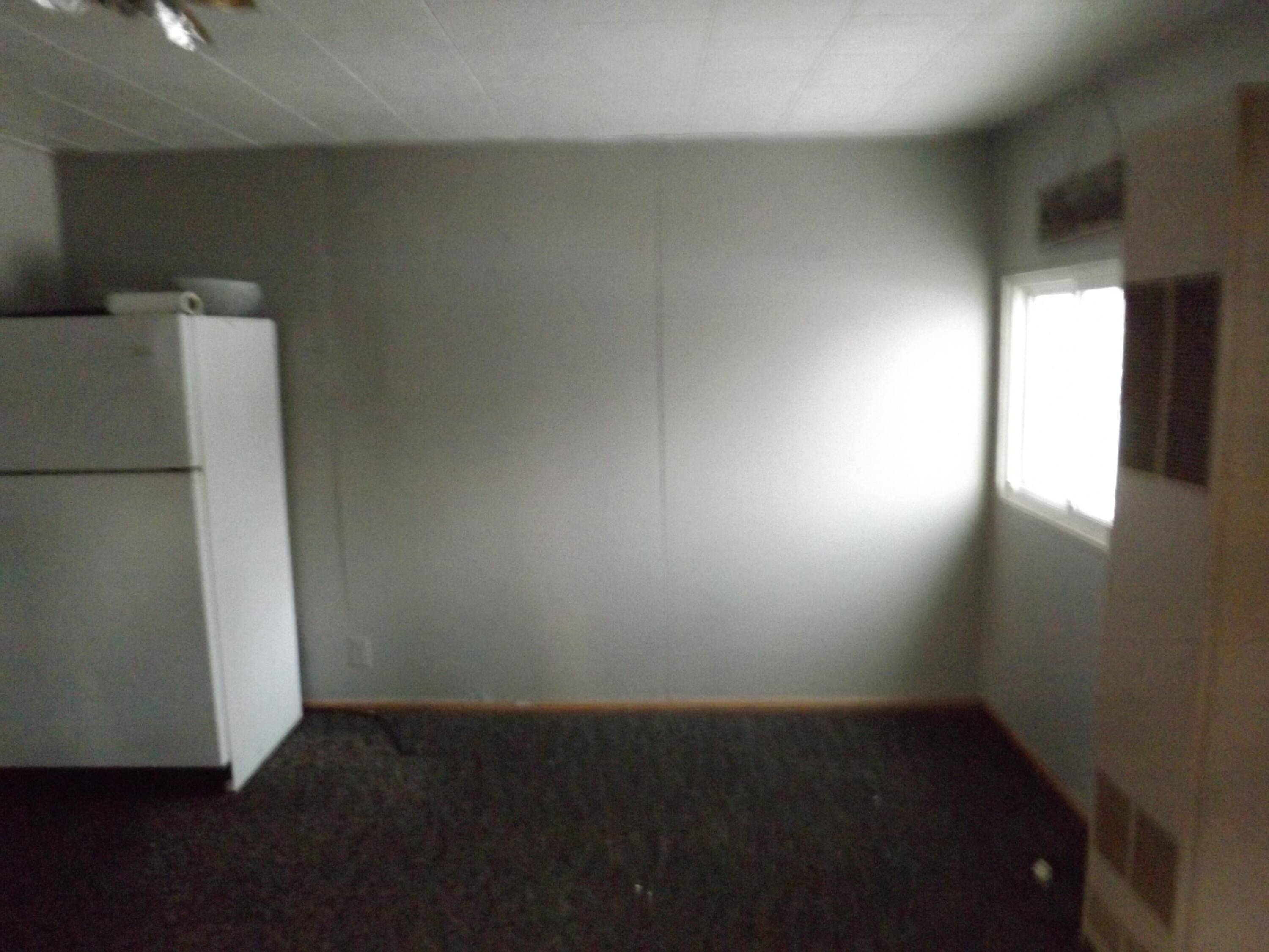 163 Lincoln ALY, Belvidere Twp, MI 48891