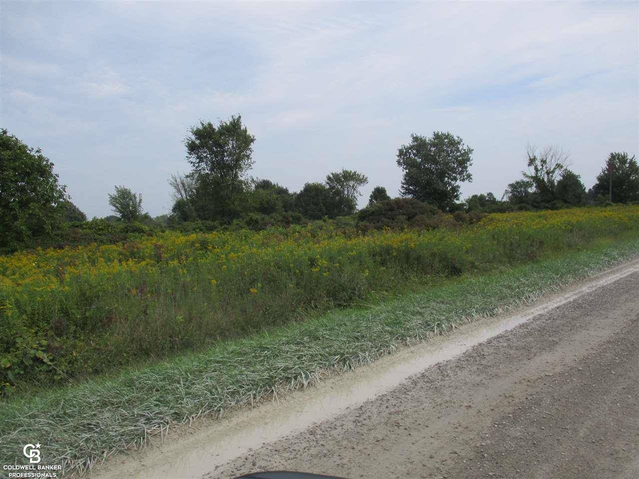 00 Angling Rd #6 RD, Richmondtownship_macomb, MI 48062