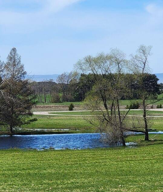 7909 11 Mile RD, Bear Lake Twp, MI 49614