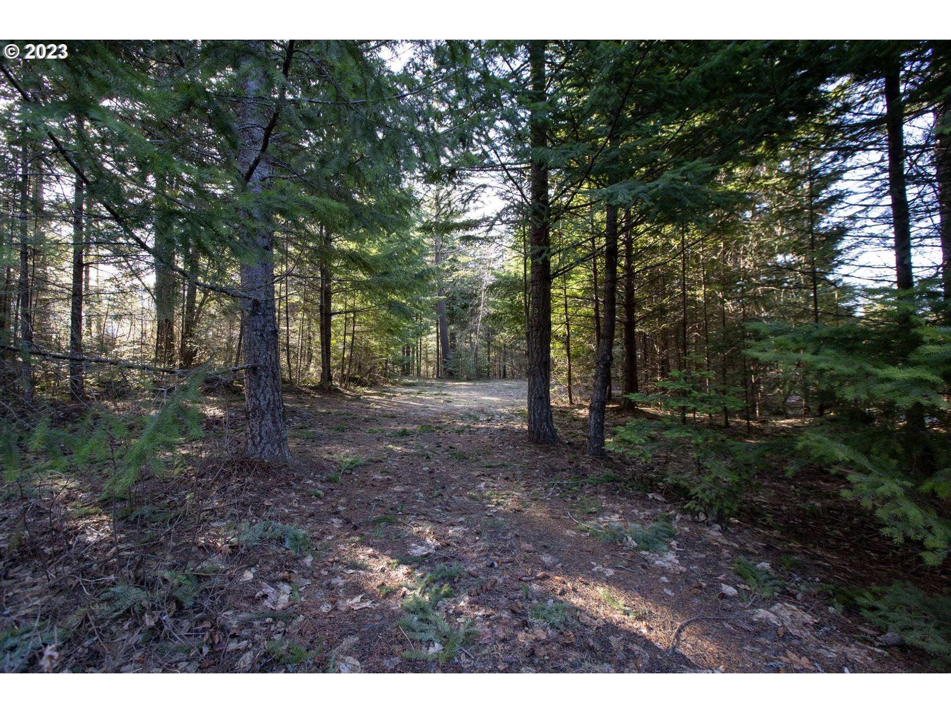 1311 Lacock Kelchner RD, Underwood, WA 98651