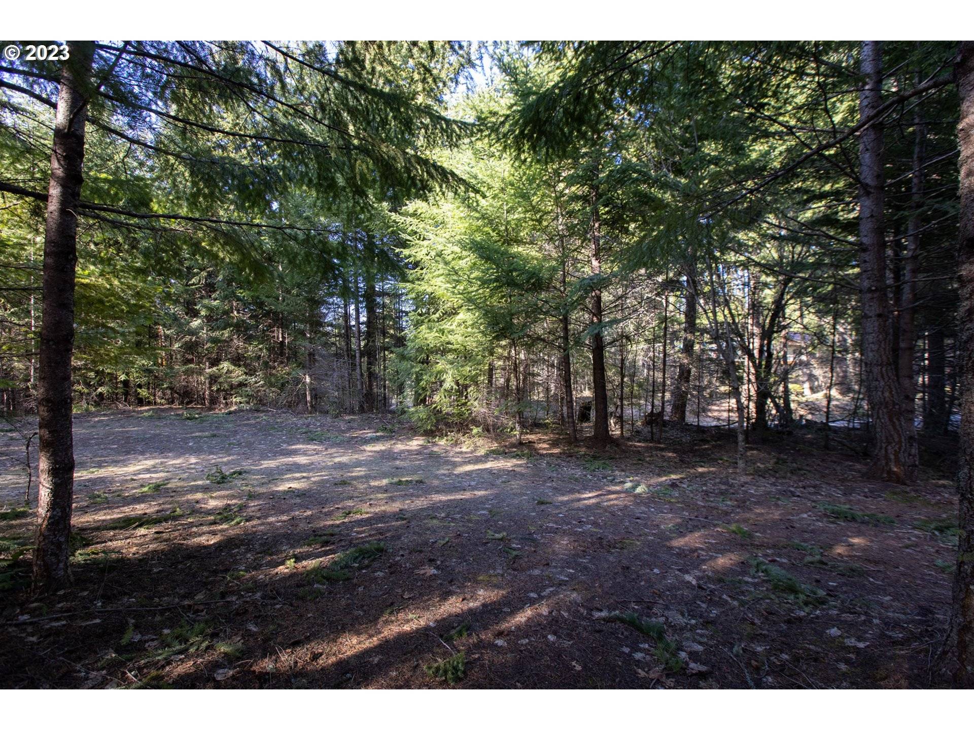 1311 Lacock Kelchner RD, Underwood, WA 98651