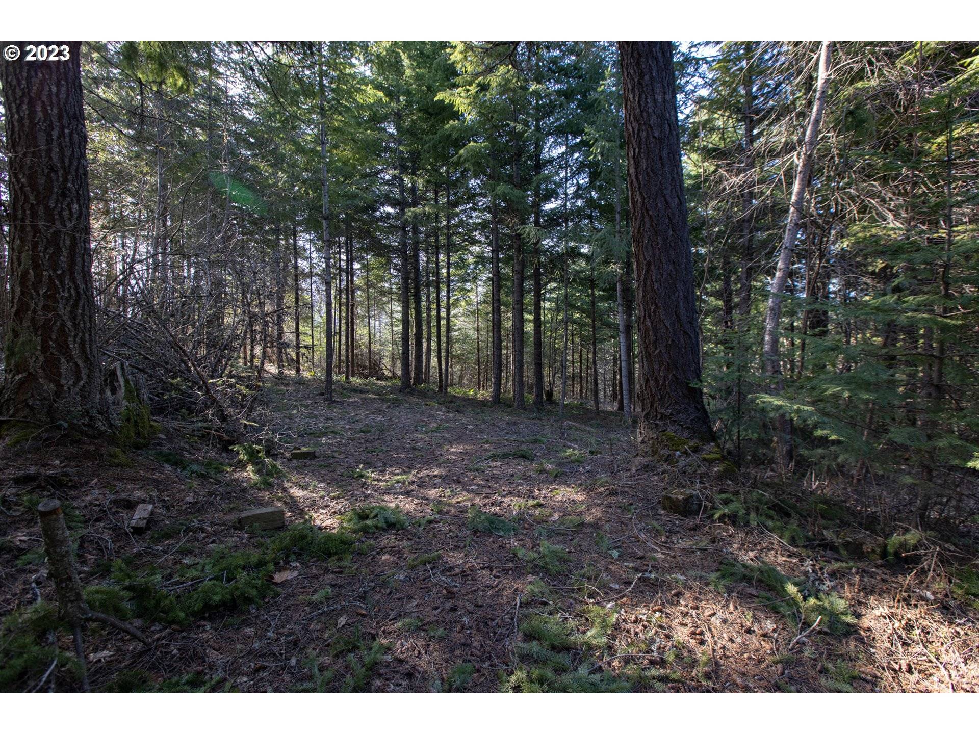 1311 Lacock Kelchner RD, Underwood, WA 98651