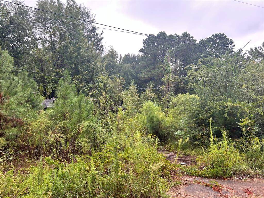 162 Lewis Loop, Cotton Valley, LA 71018