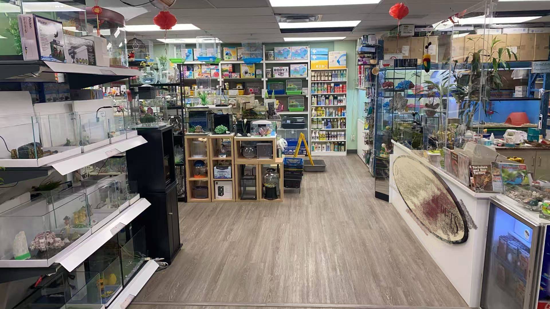 222 Spadina AVE #26, Toronto C01, ON M5T 3B3
