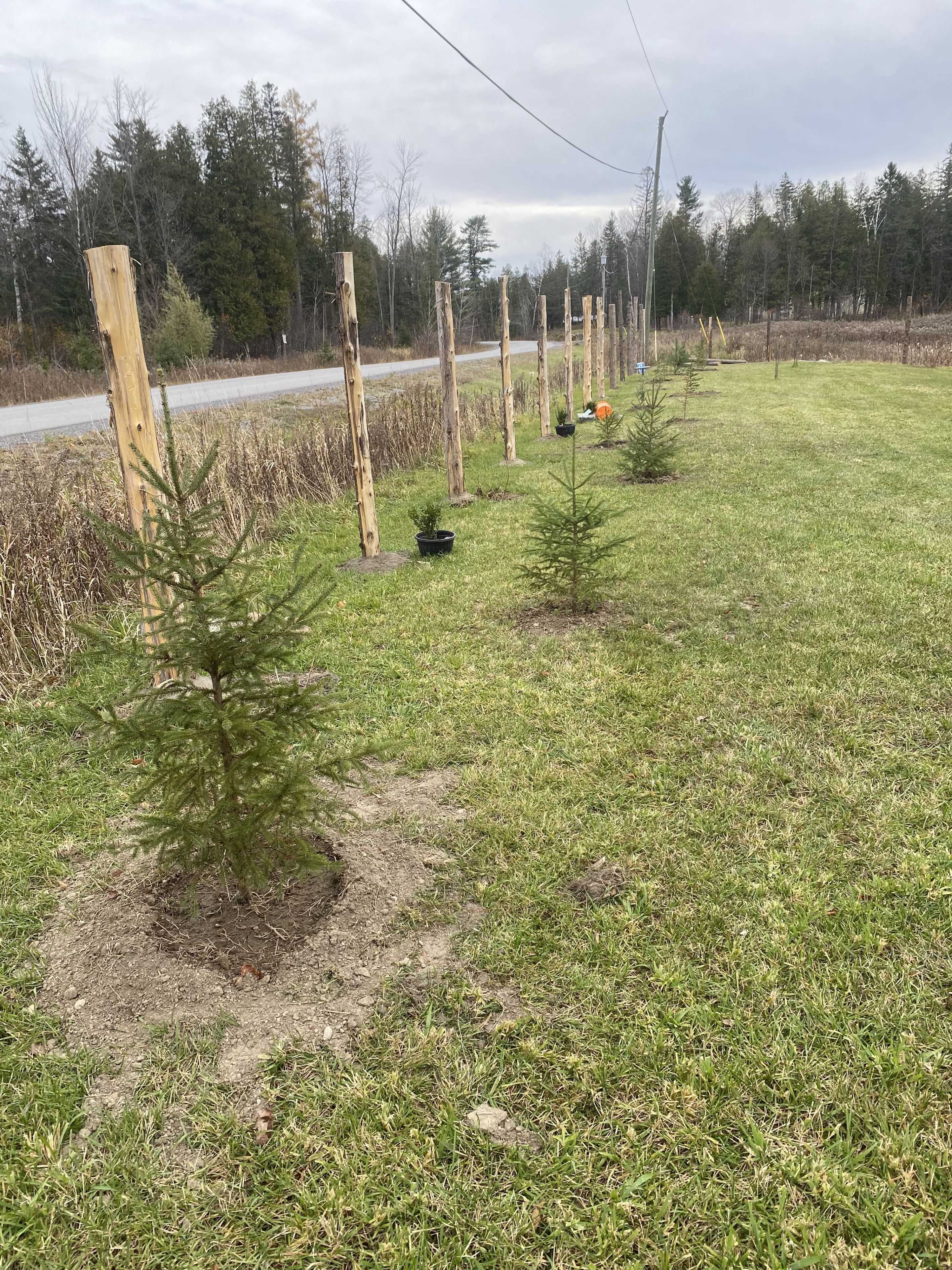 5166 Loggers WAY, Carp - Dunrobin - Huntley - Fitzroy And Area, ON K7S 3G7