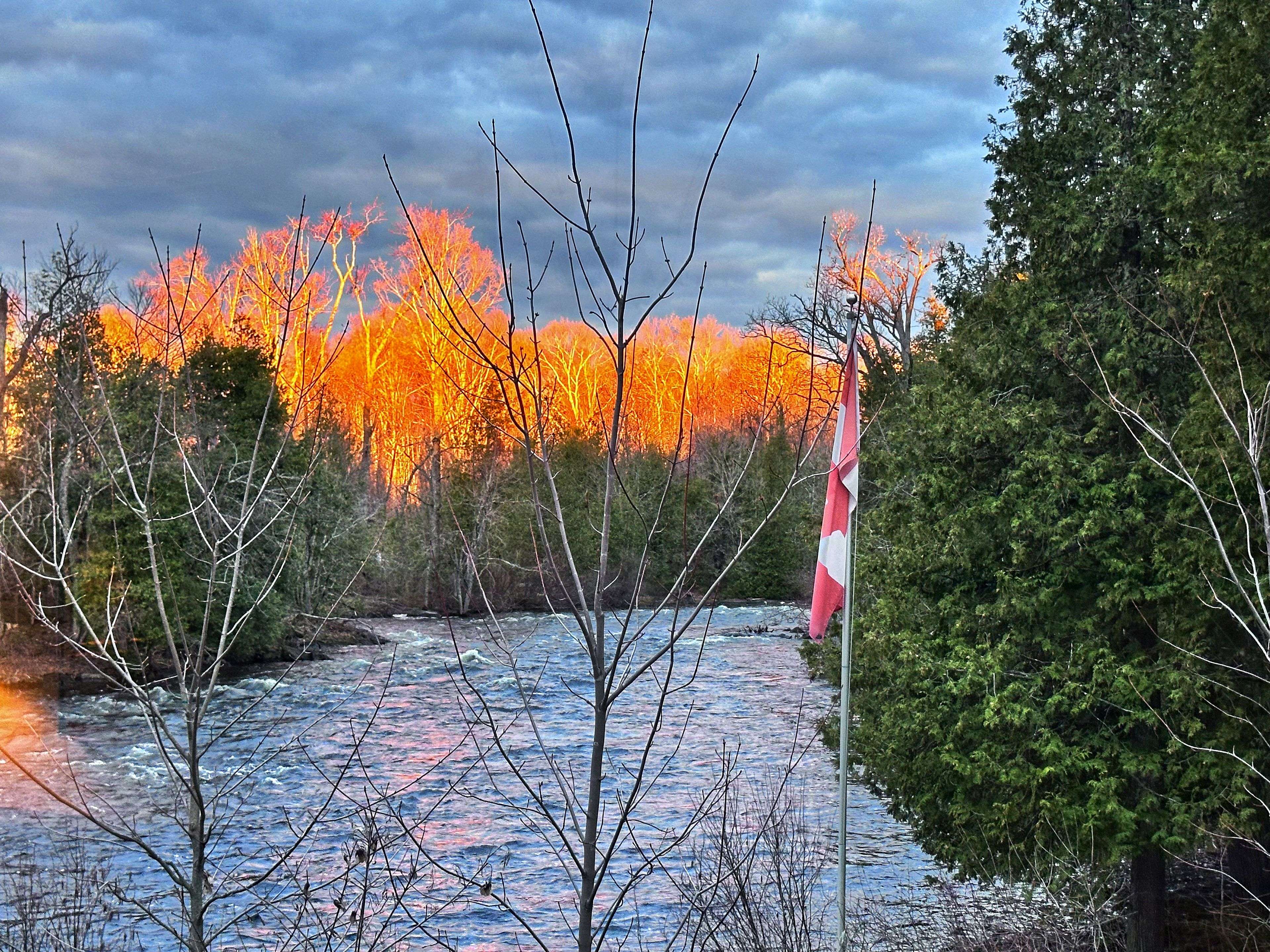 411 Fidlar Glen RD, Marmora And Lake, ON K0K 2M0
