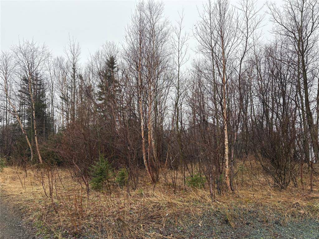 4 Aspen Street, Little Burnt Bay, NL A0G3B0