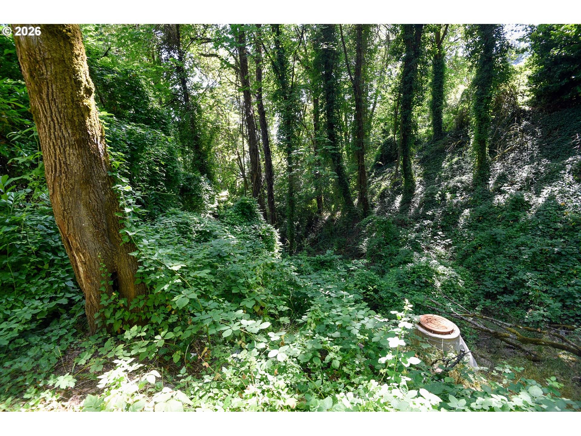 SW CONDOR AVE #5900, Portland, OR 97239