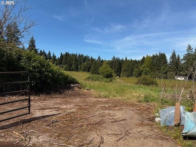 65748 MEISSNER RD, Deer Island, OR 97054