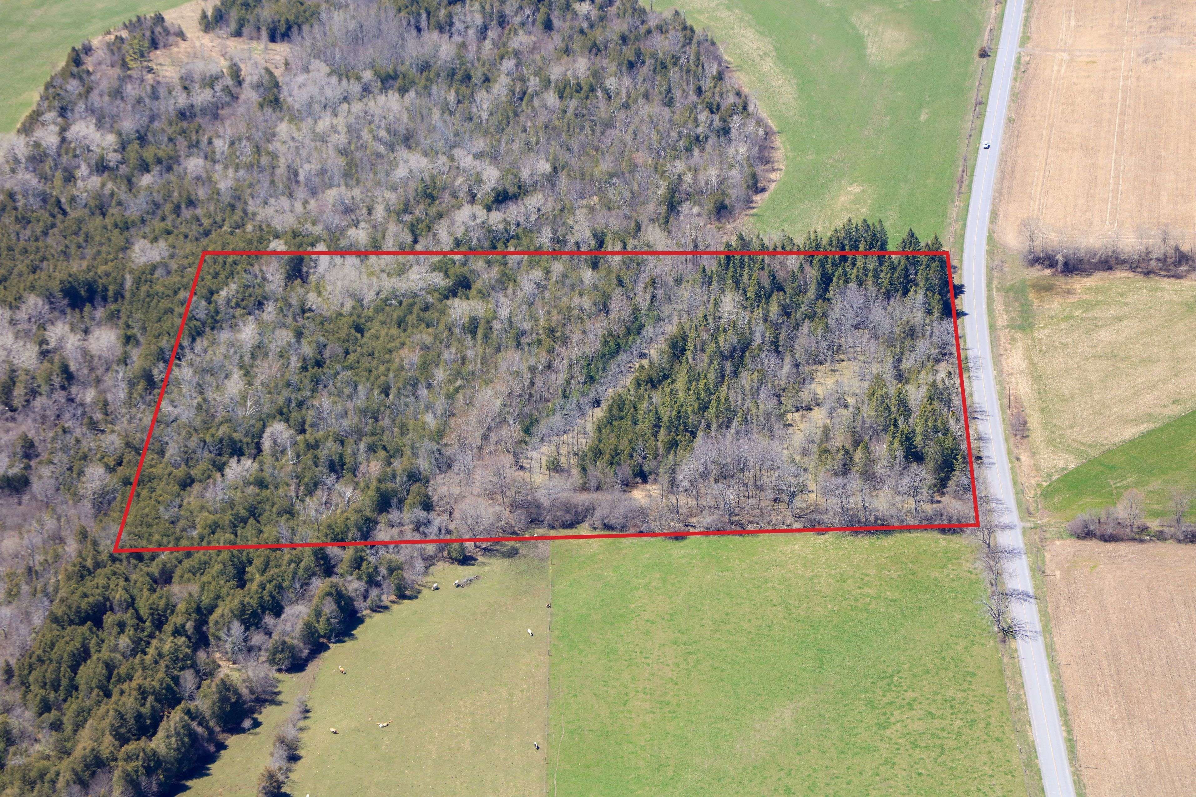 N/A Lakeport RD, Alnwick/haldimand, ON K0K 1S0