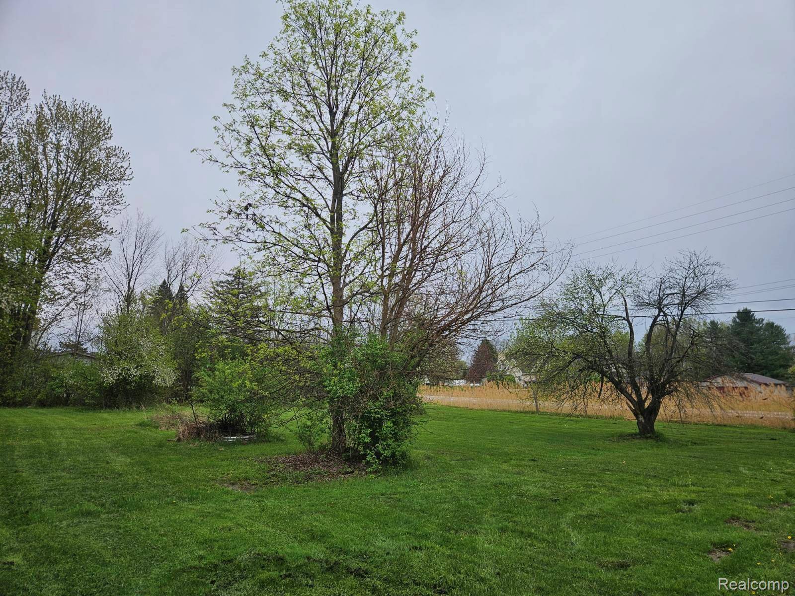 V/L E Maple AVE, Burton, MI 48439