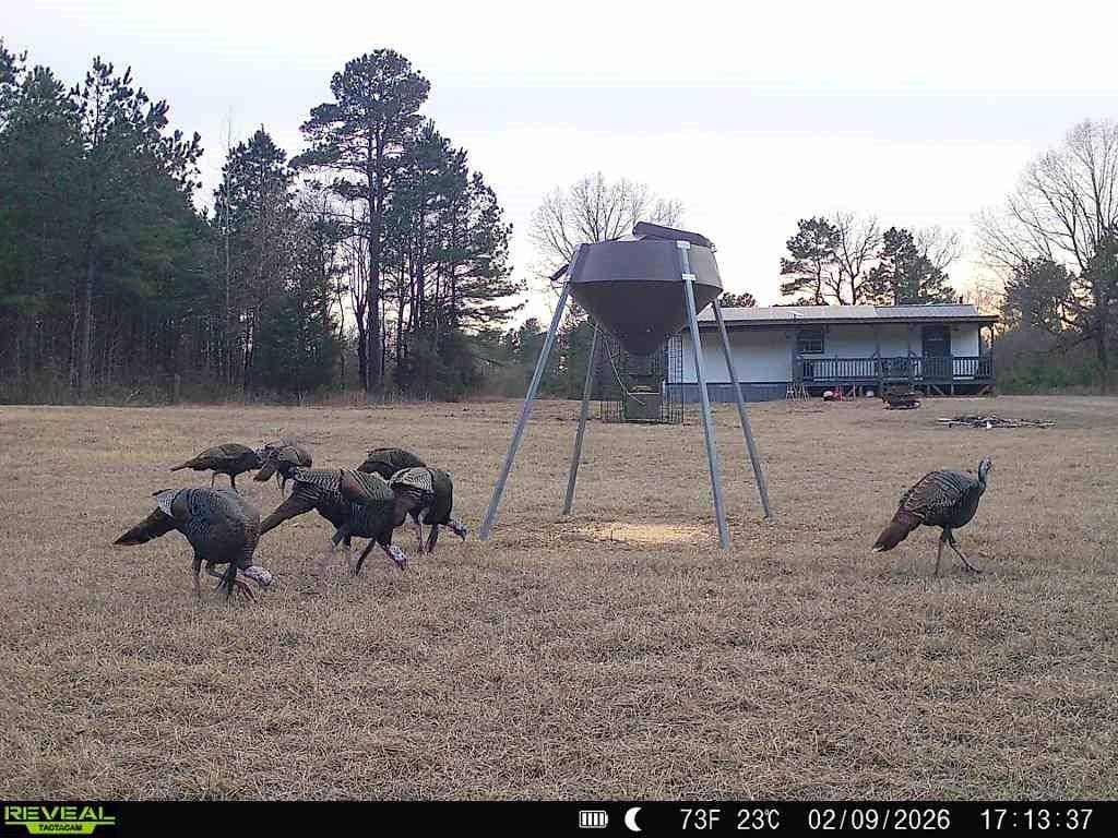 11750 FM 1159, Clarksville, TX 75426