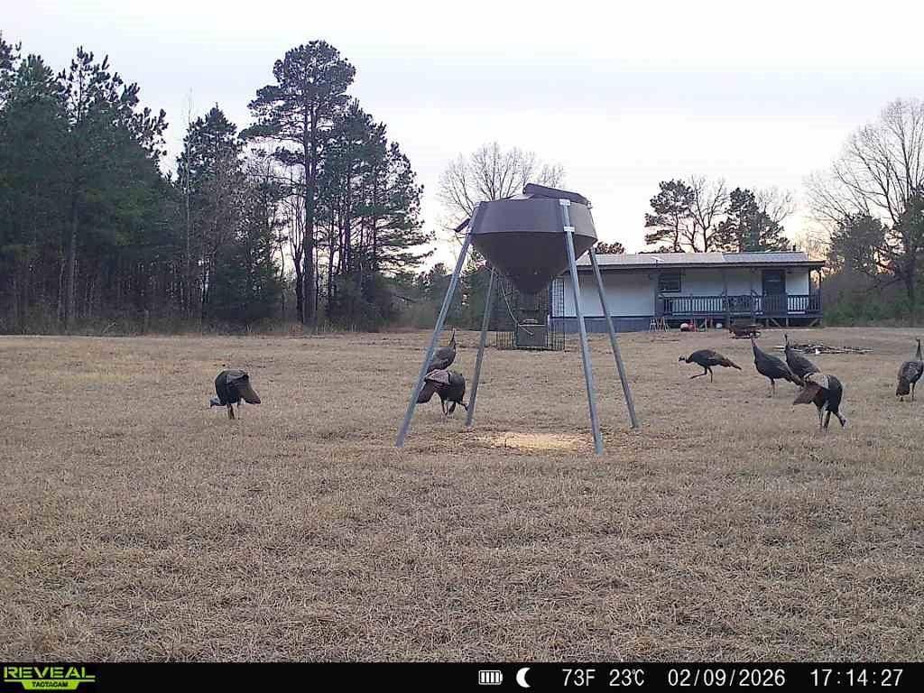 11750 FM 1159, Clarksville, TX 75426