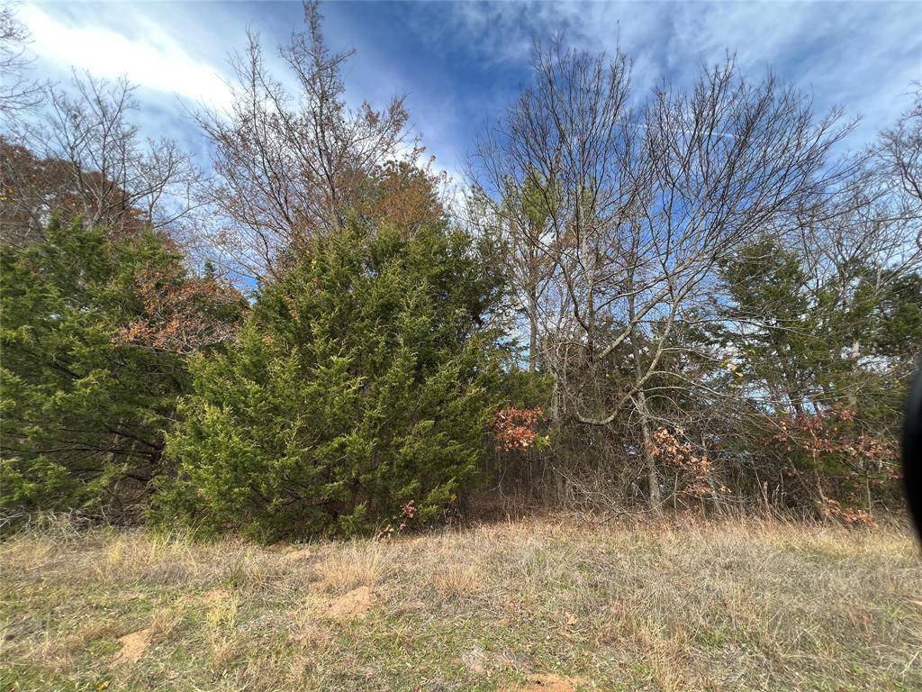 TBD State HWY 64, Ben Wheeler, TX 75754