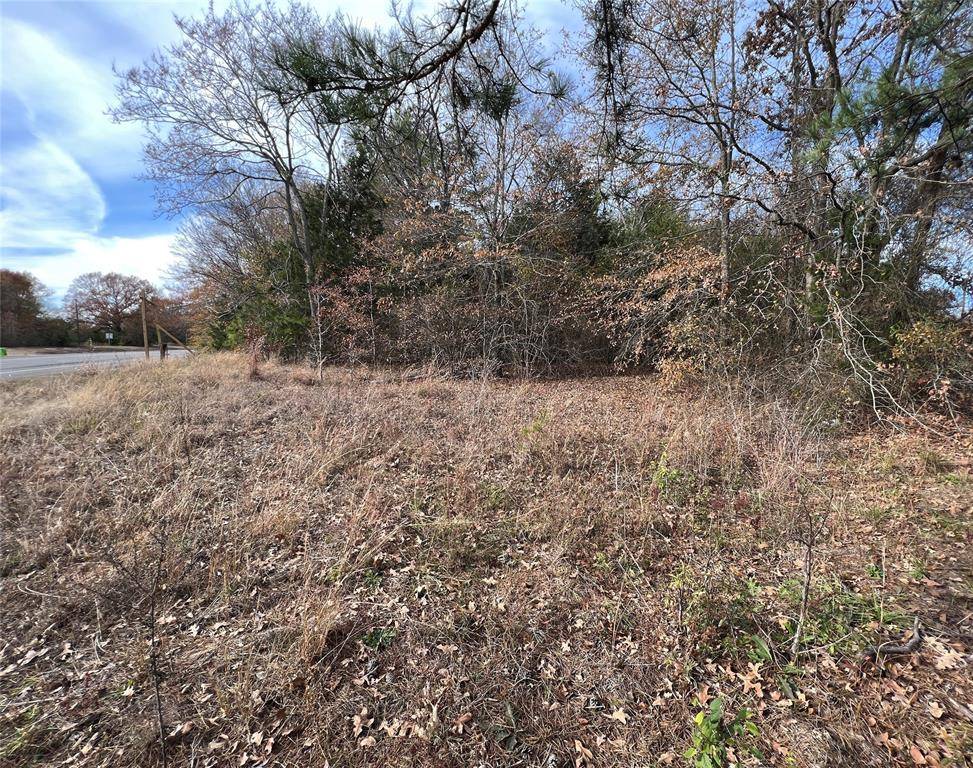 TBD State HWY 64, Ben Wheeler, TX 75754