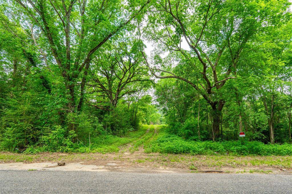 855 N Prairieville Street, Athens, TX 75751