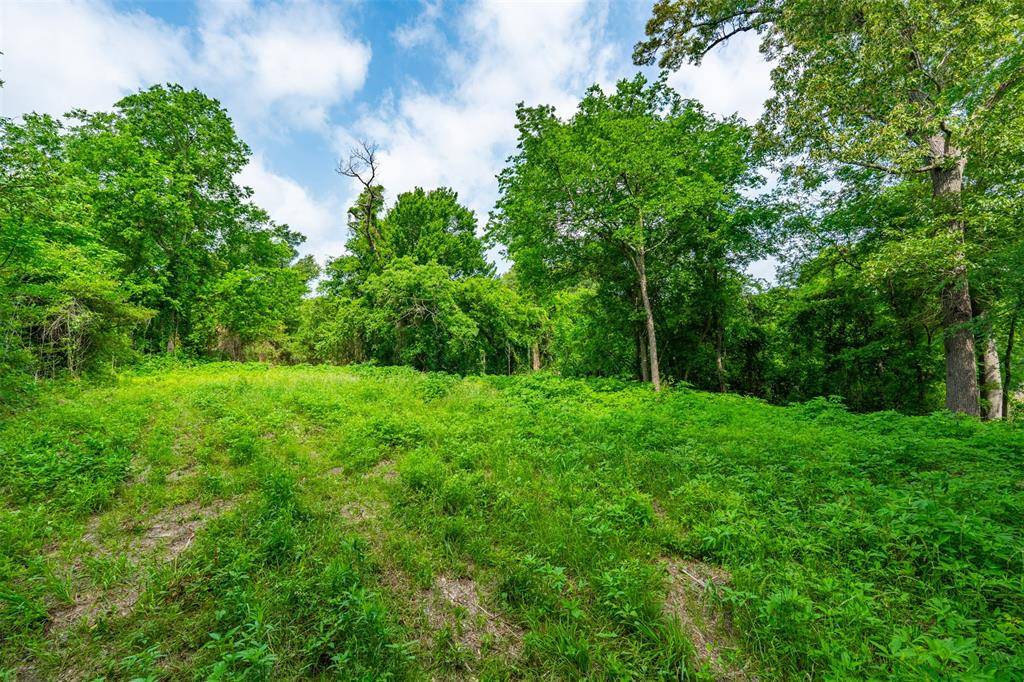 855 N Prairieville Street, Athens, TX 75751