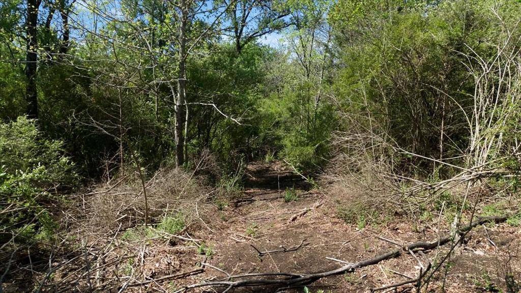 TBD County Road 4511, Commerce, TX 75428