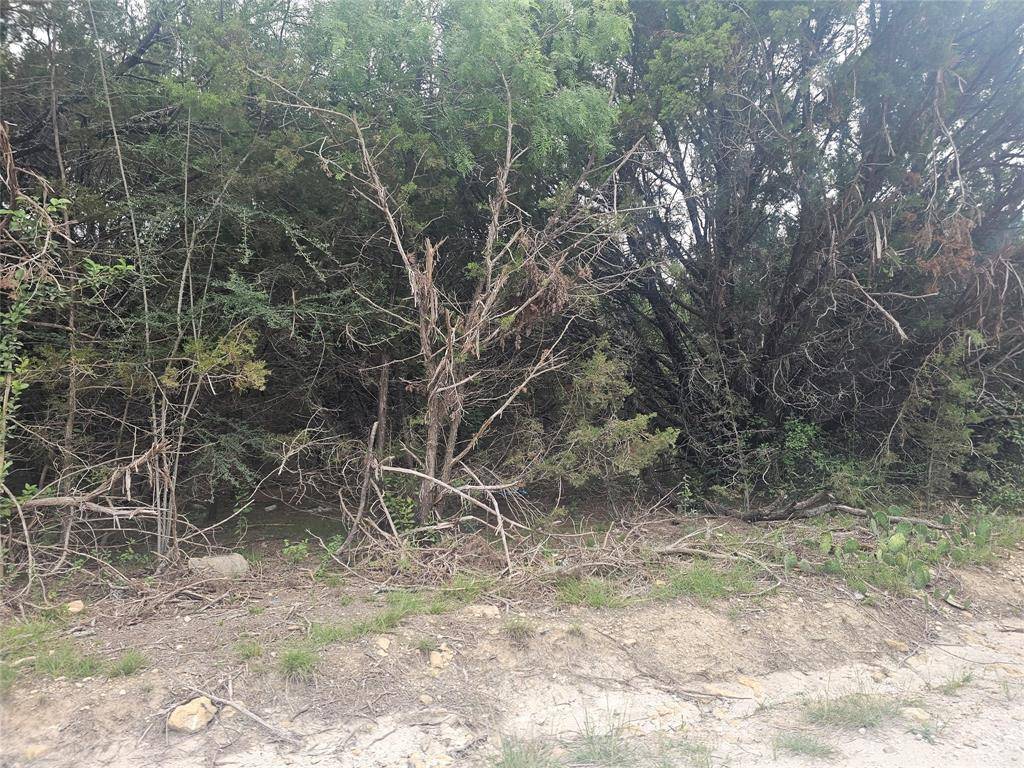 TBT Elm Branch, Whitney, TX 76692