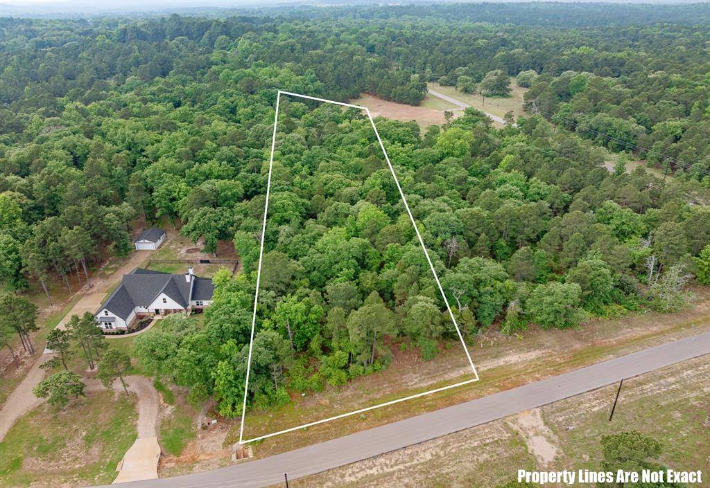 3121 Shadow Pines, Larue, TX 75770