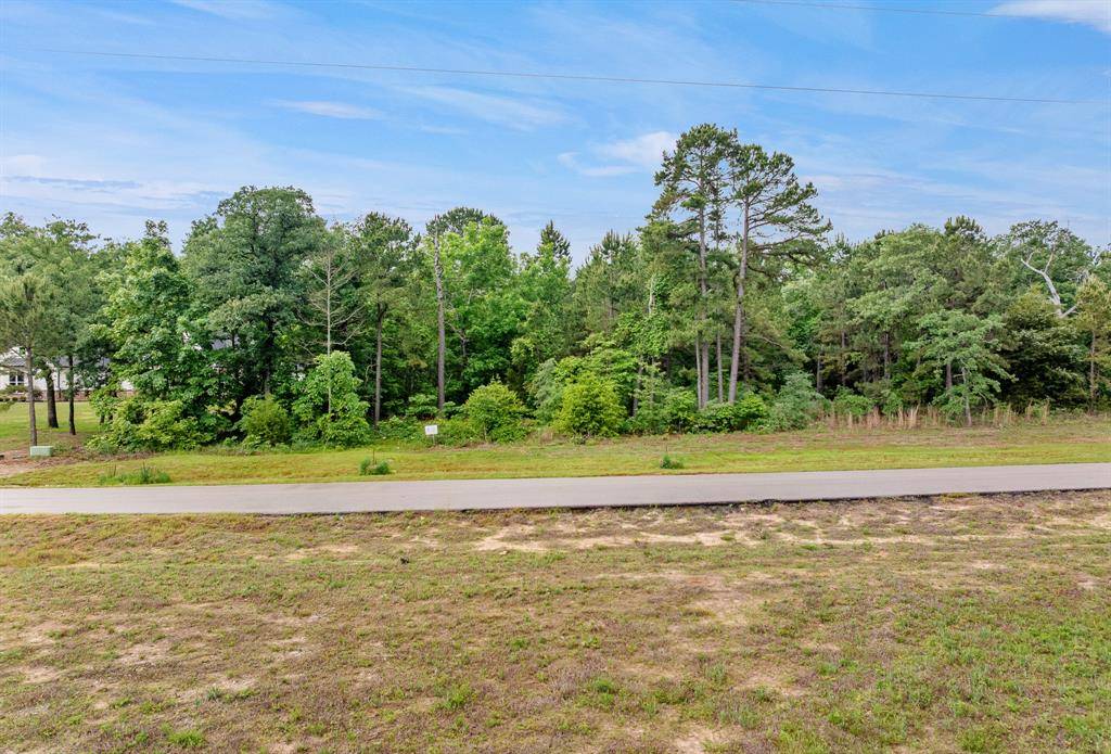 3121 Shadow Pines, Larue, TX 75770