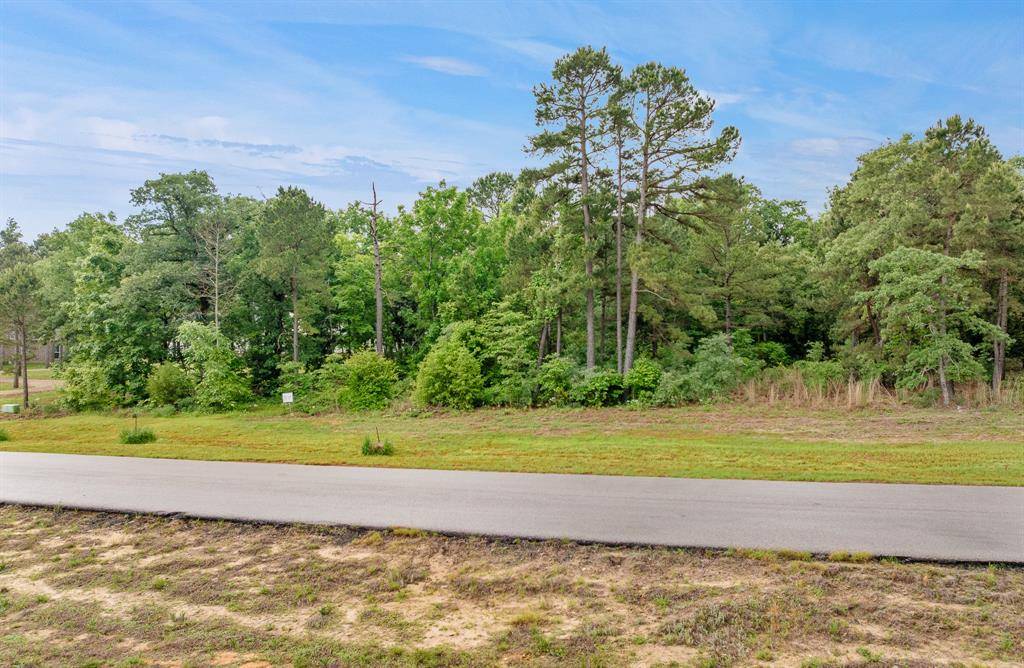 3121 Shadow Pines, Larue, TX 75770