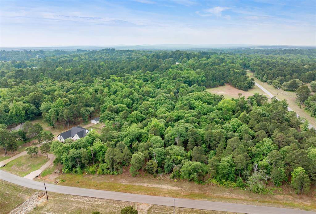 3121 Shadow Pines, Larue, TX 75770
