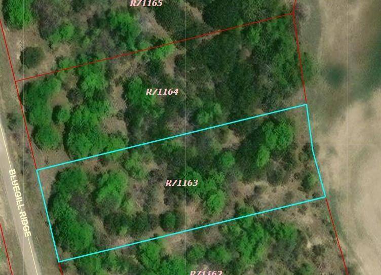 1065 Bluegill Ridge, Bluff Dale, TX 76433