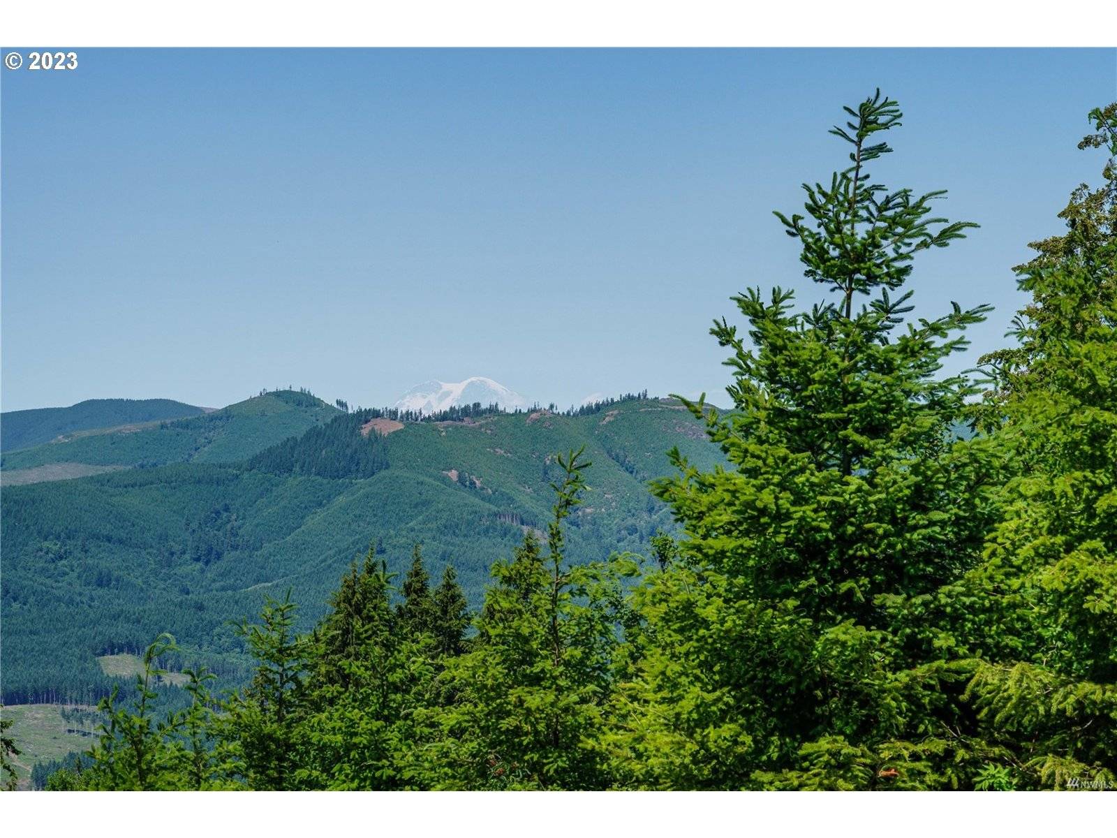CHINA GARDEN RD #D, Kalama, WA 98625