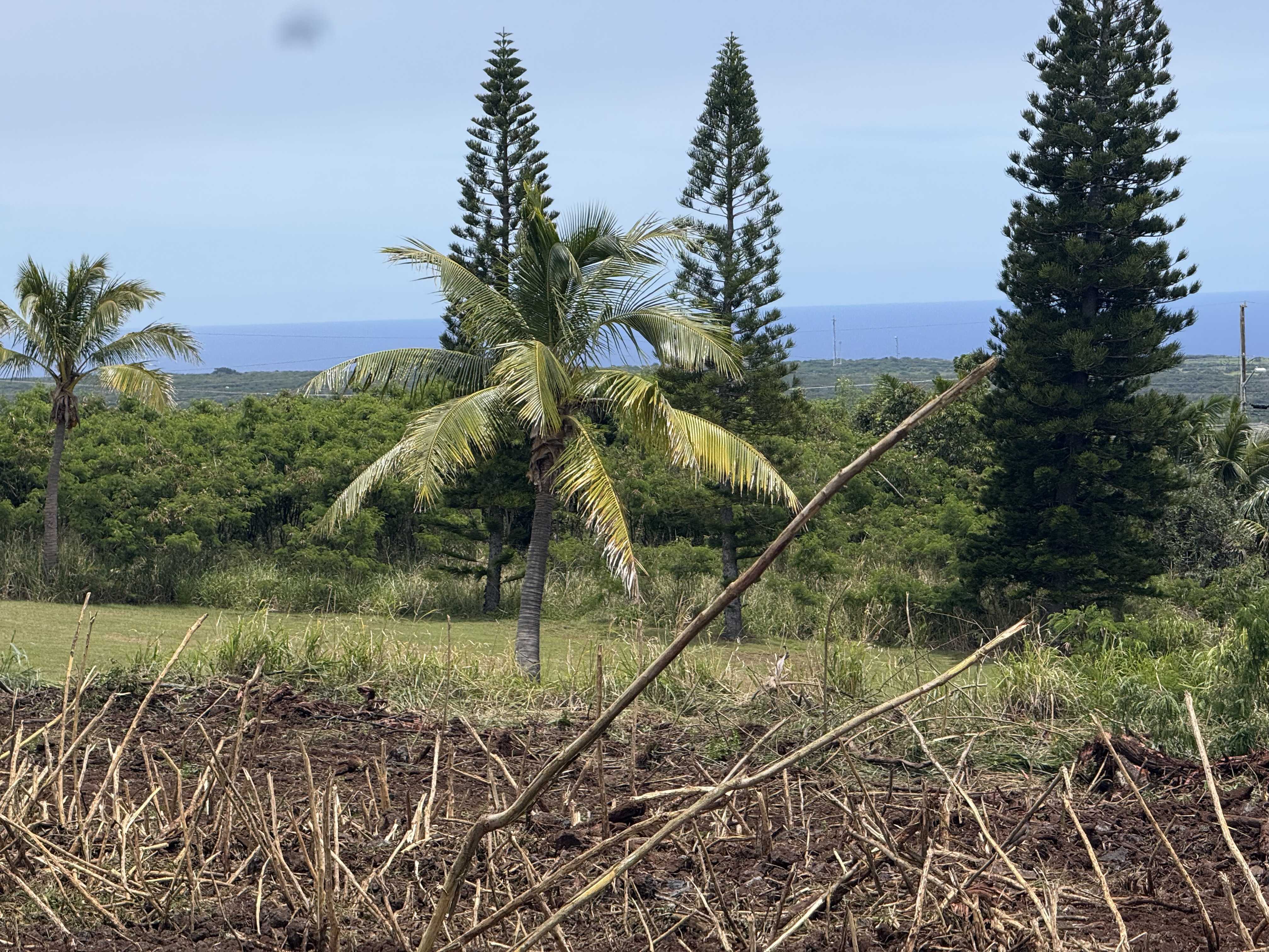KAULUA CIRCLE, Naalehu, HI 96772