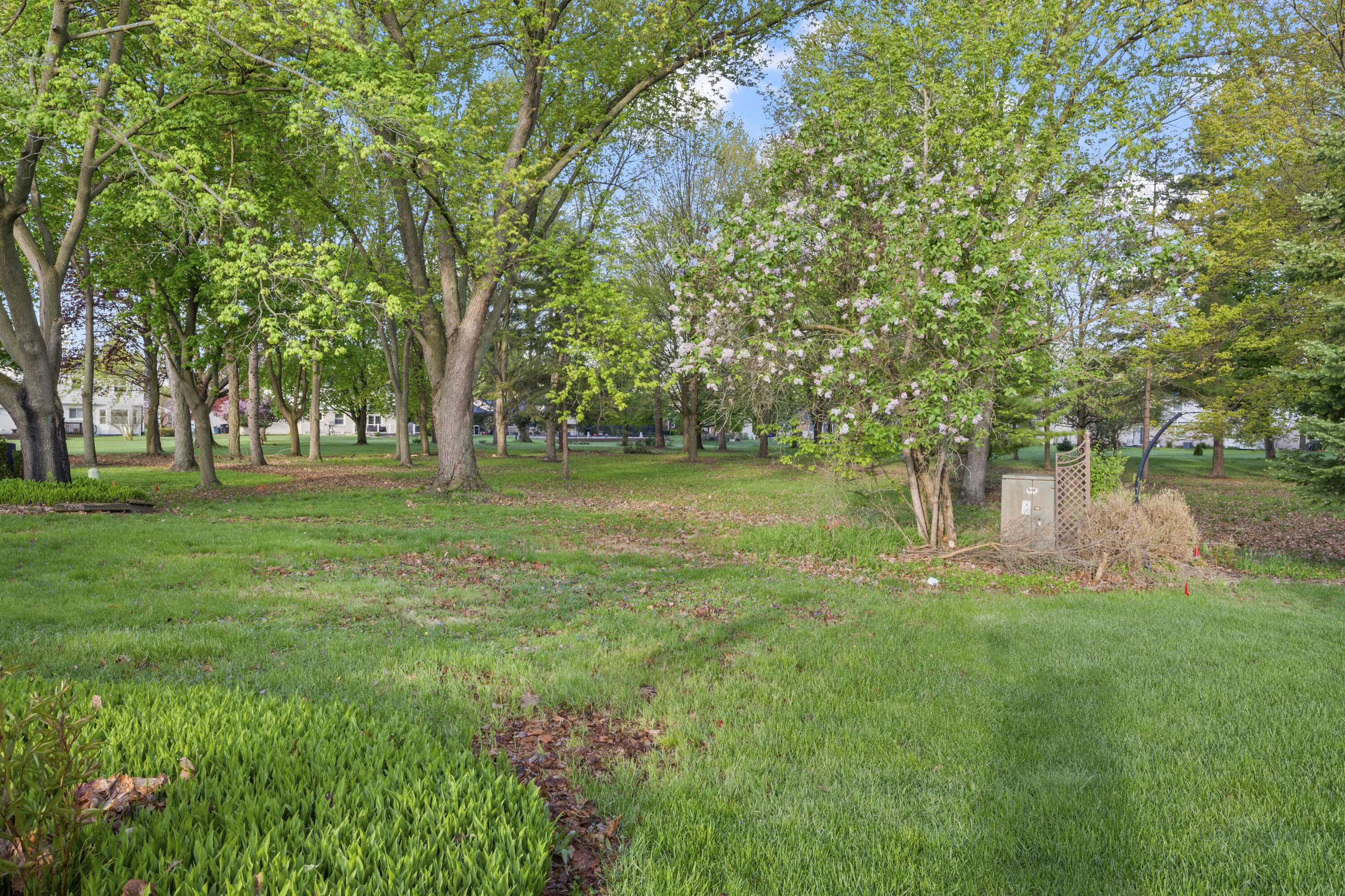 17447 Park ST, Livoniacity_wayne, MI 48152