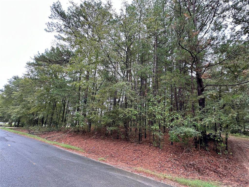 0 Downs Drive, Benton, LA 71006