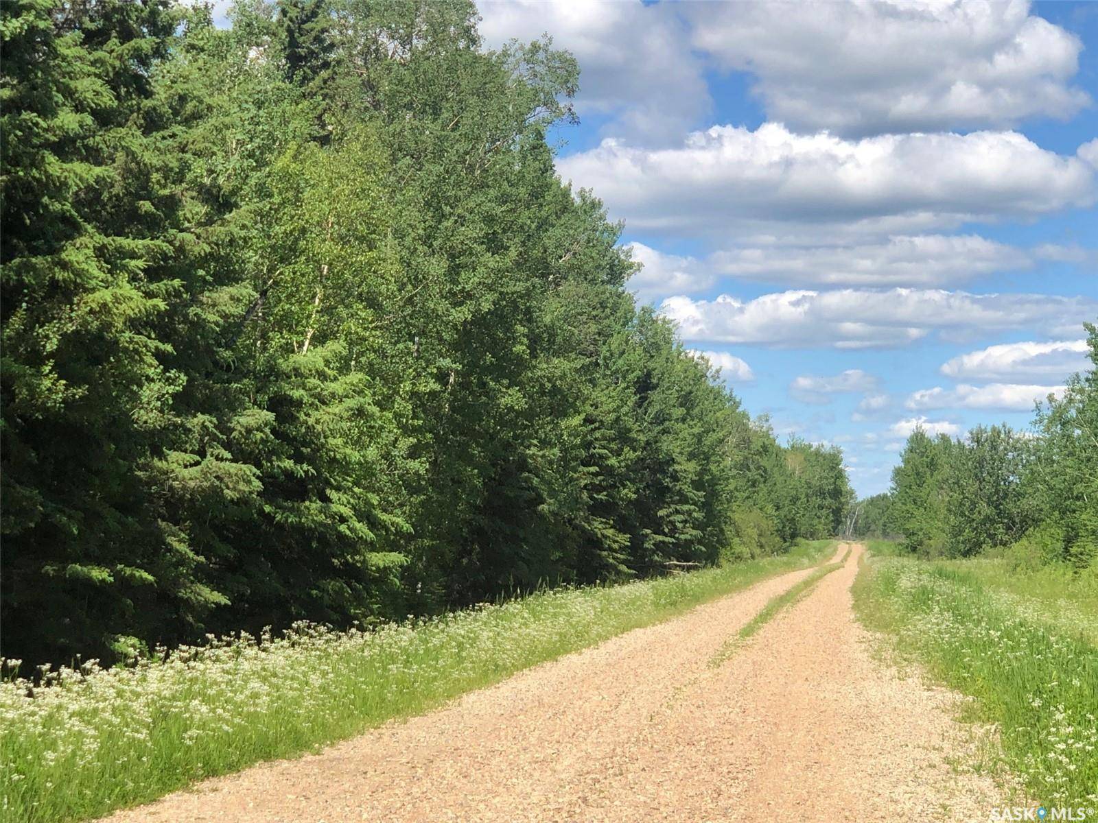 Rural Address, Preeceville Rm No. 334, SK S0A 3B0