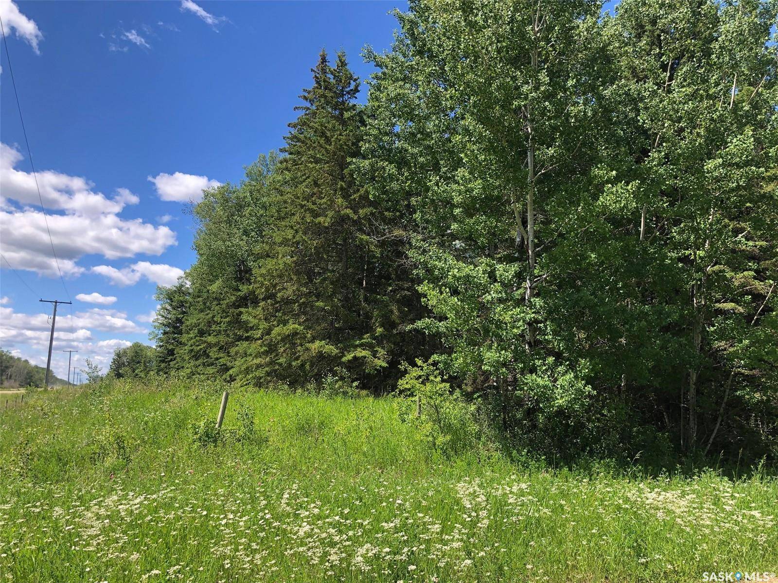 Rural Address, Preeceville Rm No. 334, SK S0A 3B0