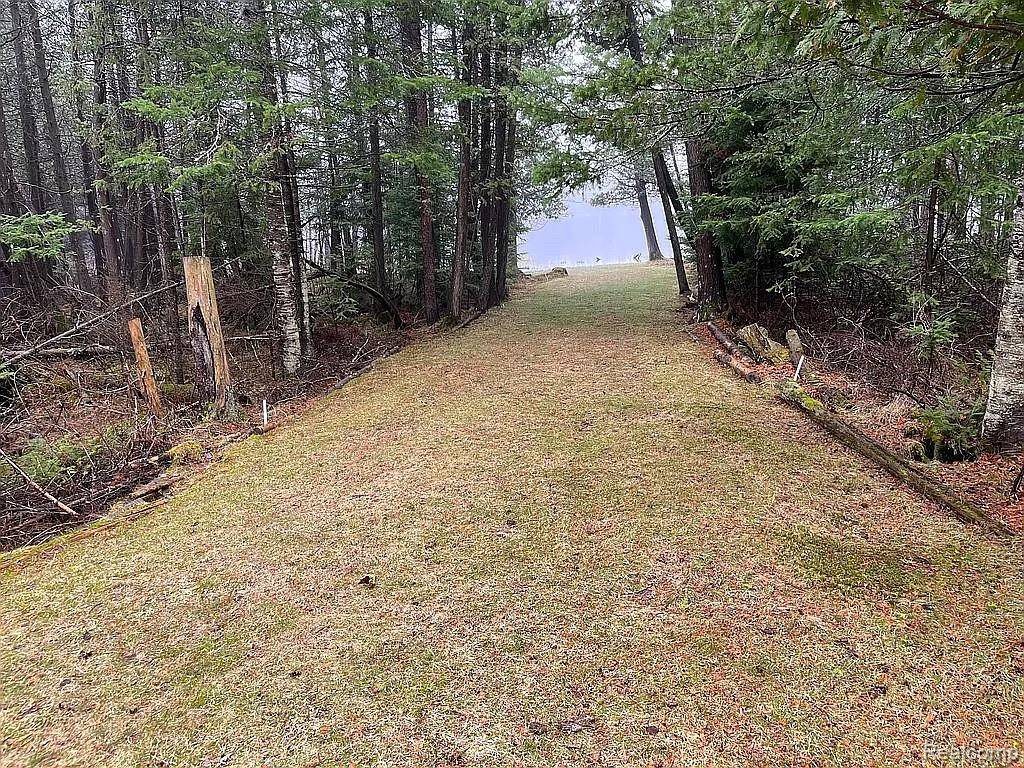 1761 E Lake CIR, Mitchell Township, MI 48705