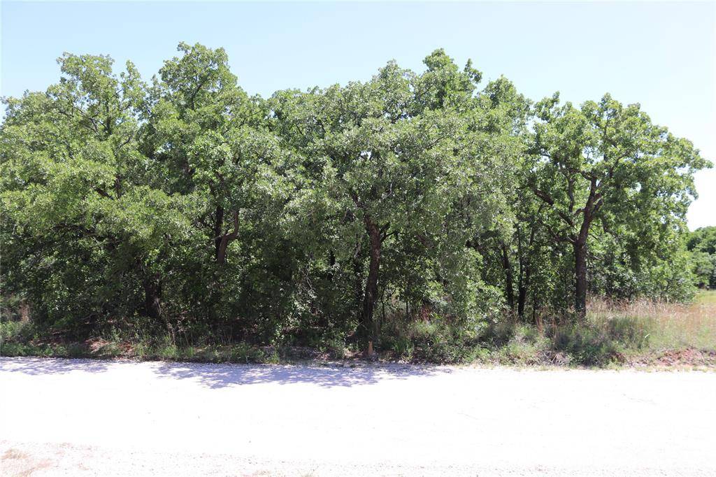 169 Rivercrest Drive, Nocona, TX 76255