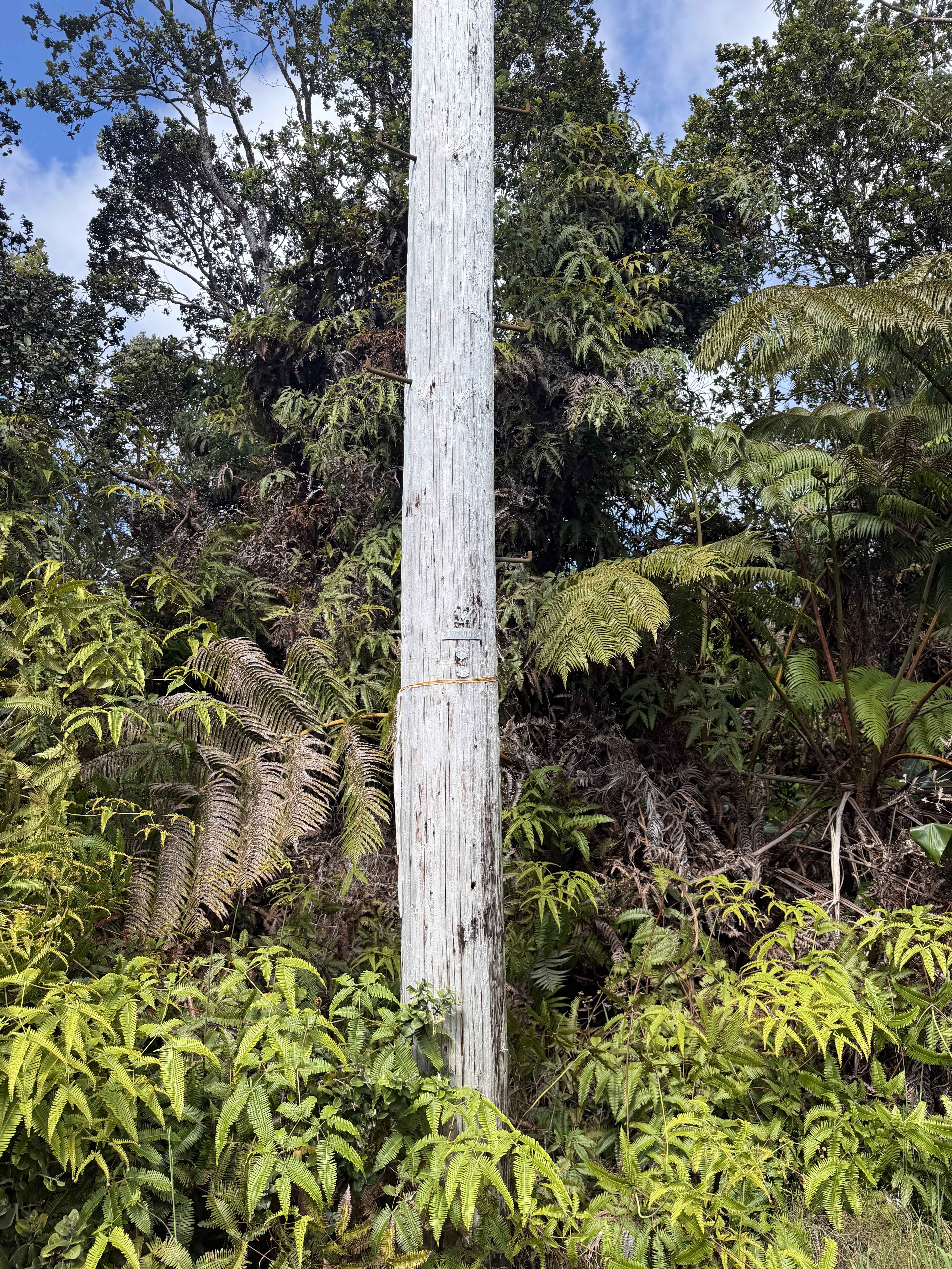 NAHELENANI ST, Volcano, HI 96785