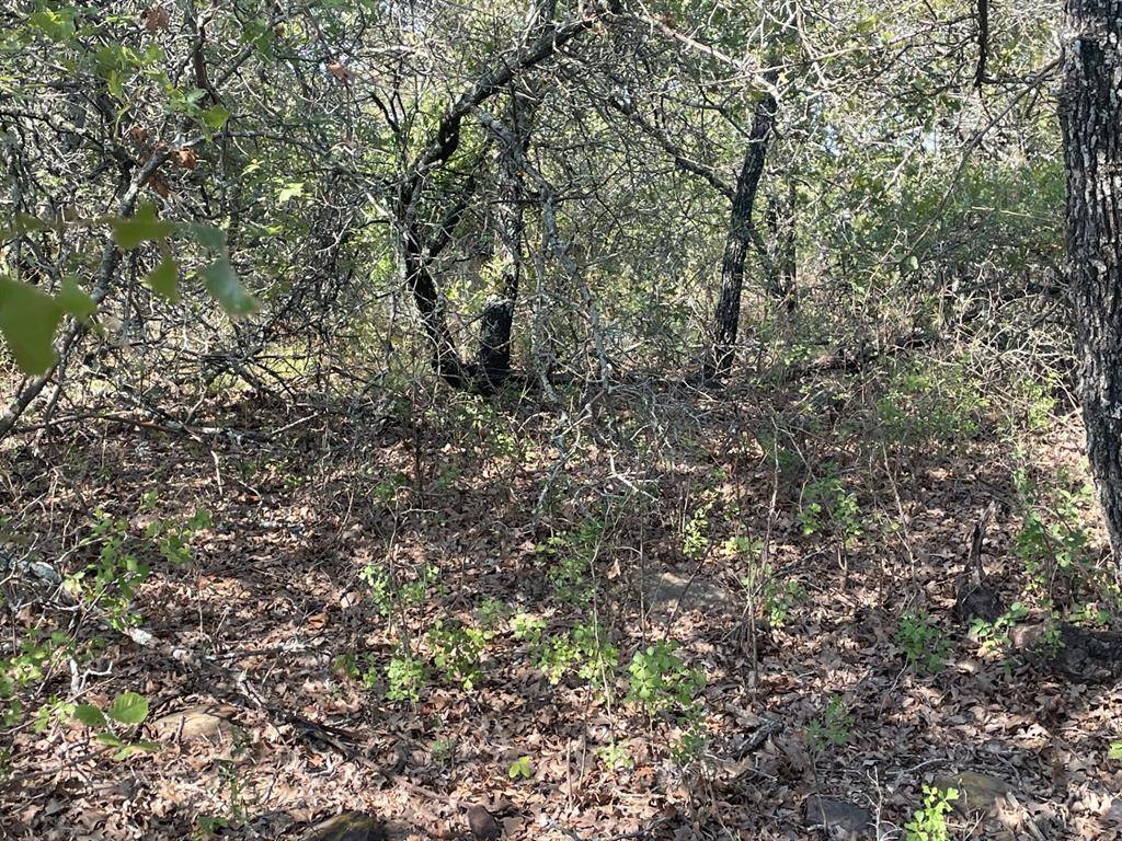00 Scenic Hill Drive, Bowie, TX 76230
