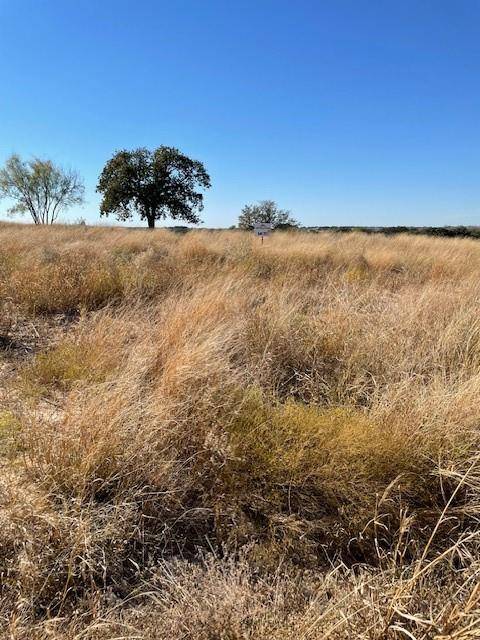 TBD CR 333, Blanket, TX 76432
