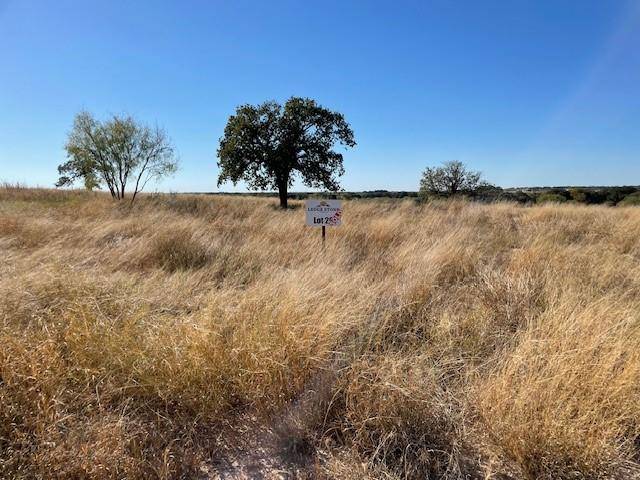 TBD CR 333, Blanket, TX 76432