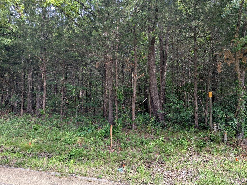 110 Vz County Road 1129, Fruitvale, TX 75127