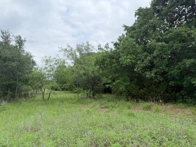 24170 Stonewood Drive, Whitney, TX 76692