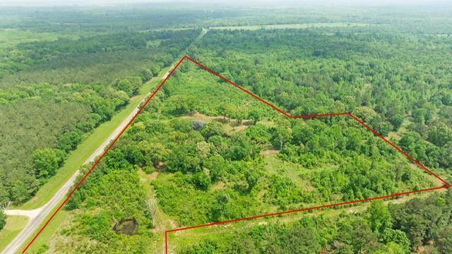 16513 FM 1159, Clarksville, TX 75426