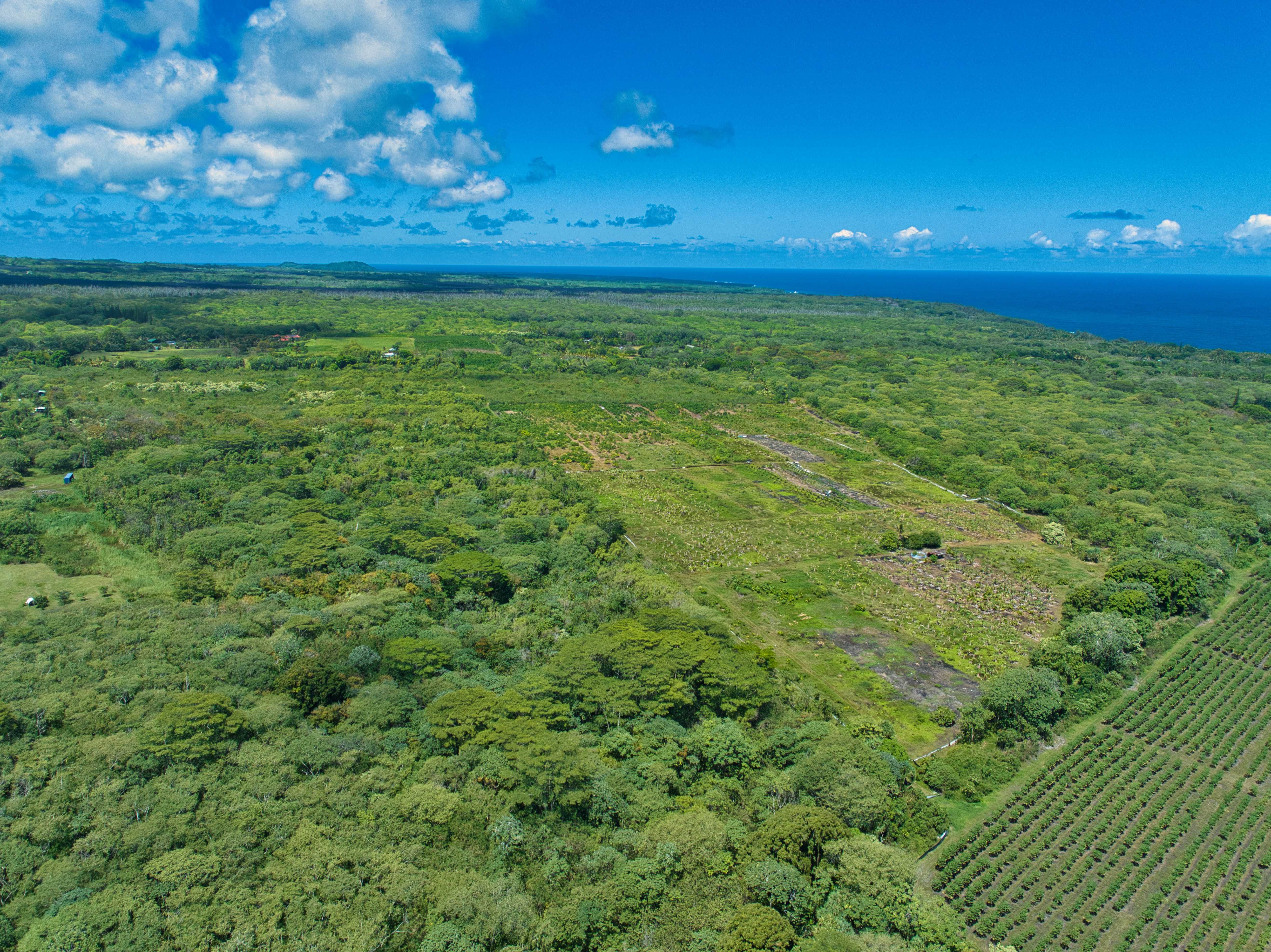 OPIHIKAO RD, Pahoa, HI 96778