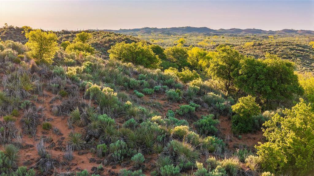 1241 County Road 24, Estelline, TX 79201