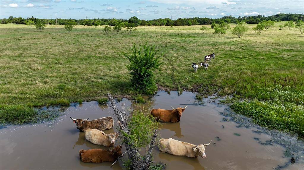 TBD CR 166, Callisburg, TX 76273