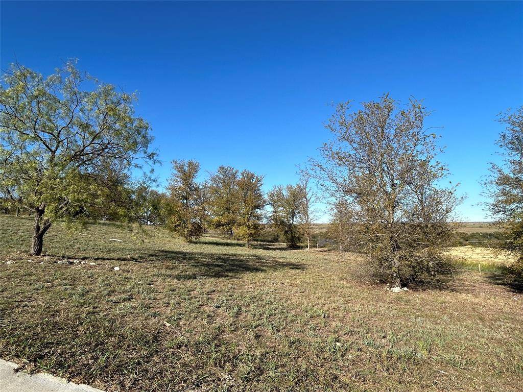 2010 Hidden Bluff Drive, Aledo, TX 76008