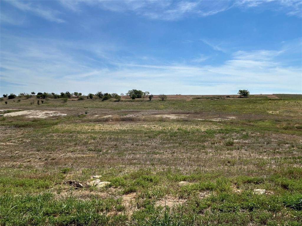 1029 Bear Creek Ranch Road, Aledo, TX 76008